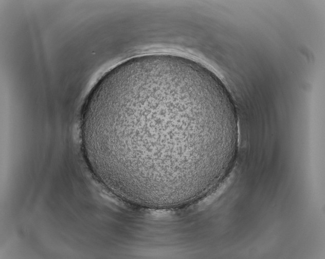 X0000111861501200908061324