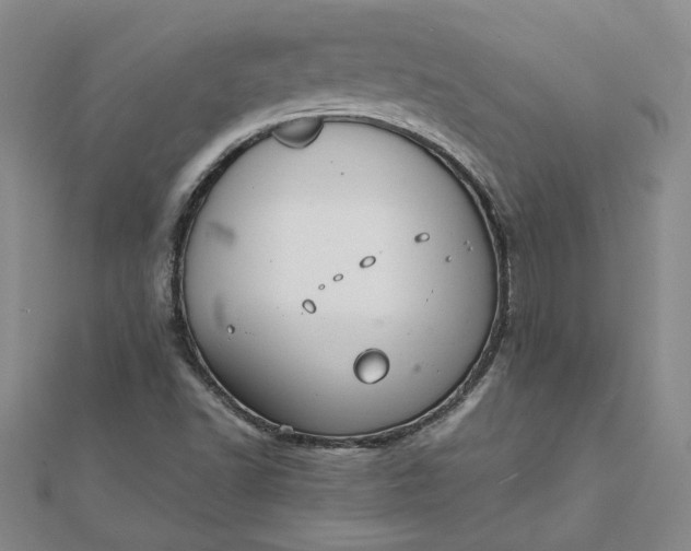 X0000111861502200908061324