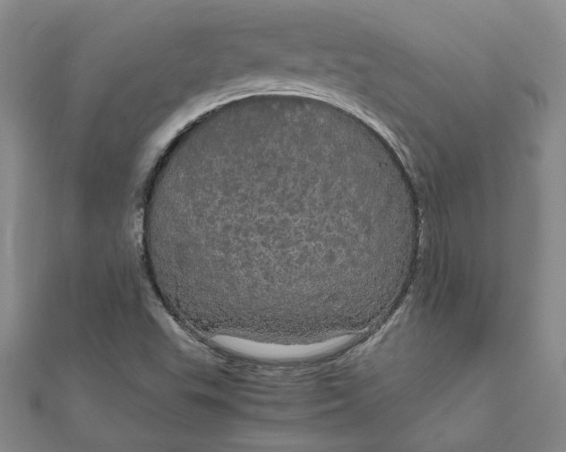 X0000111861503200908061324