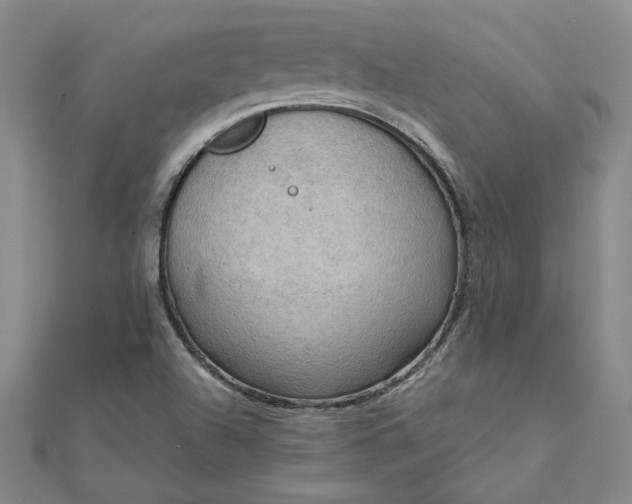 X0000111861504200908061324