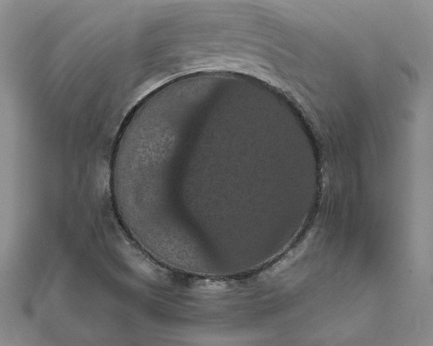 X0000111861505200908061324