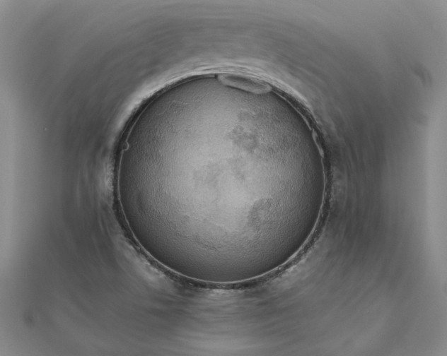 X0000111861506200908061324