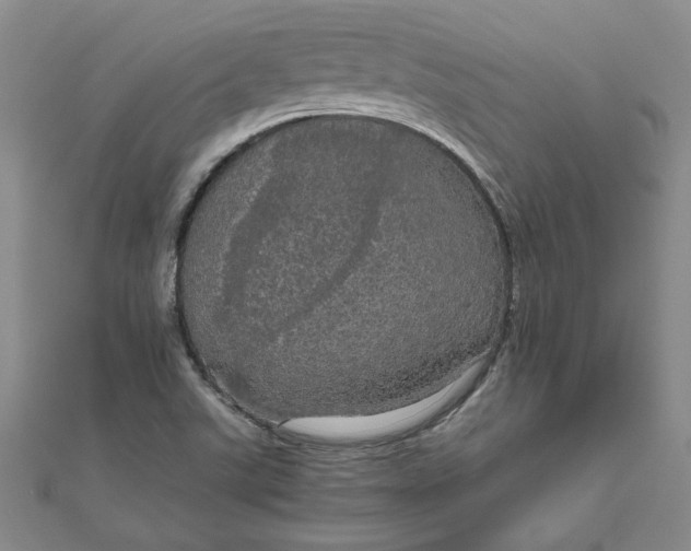 X0000111861507200908061324