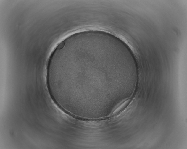 X0000111861508200908061324