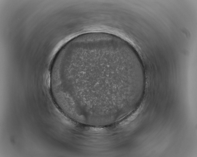 X0000111861509200908061324