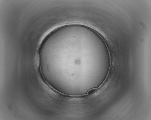 X0000111861510200908061324