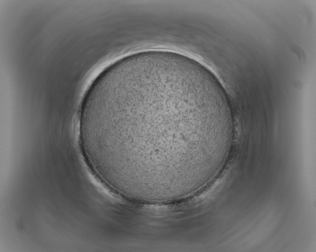 X0000111861511200908061325