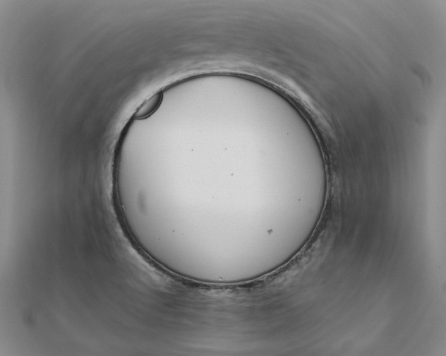 X0000111861512200908061325