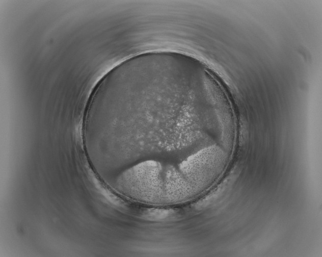 X0000111861513200908061325