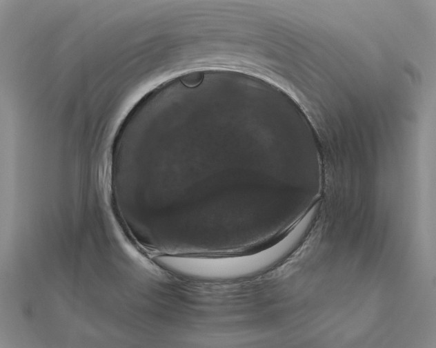 X0000111861515200908061325