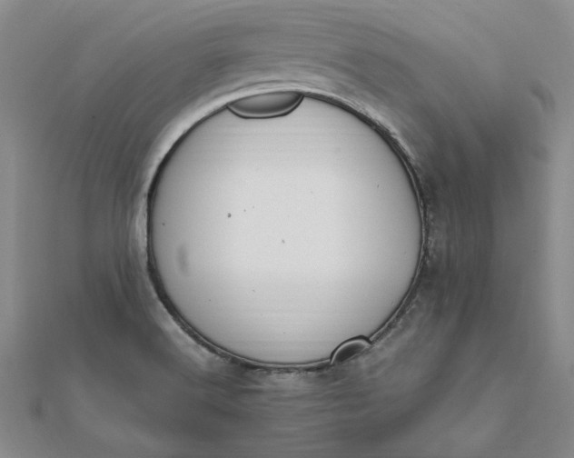 X0000111861516200908061325