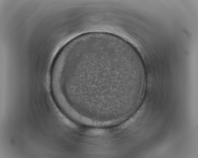 X0000111861517200908061325