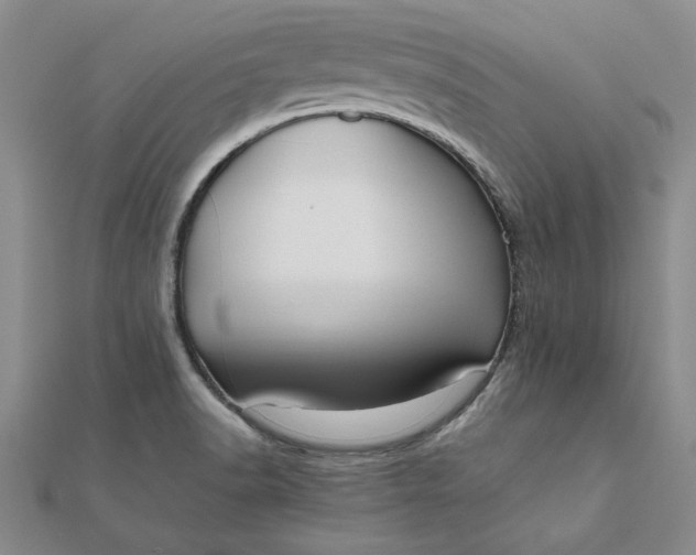 X0000111861518200908061325