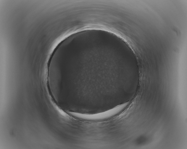 X0000111861519200908061325