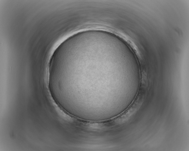 X0000111861520200908061325