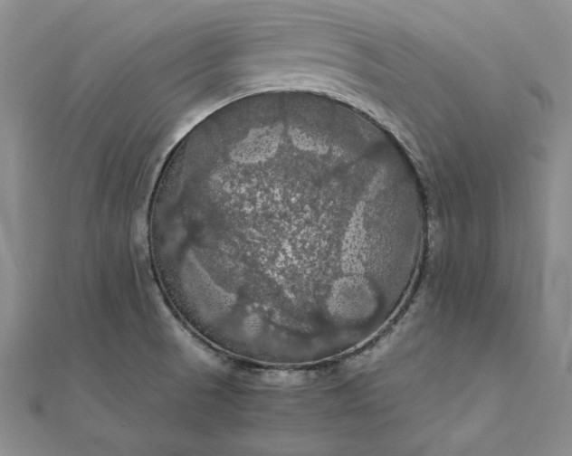 X0000111861521200908061325