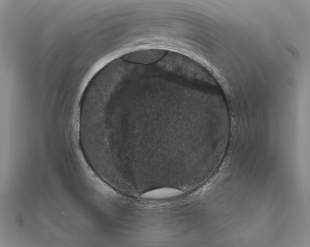 X0000111861522200908061325