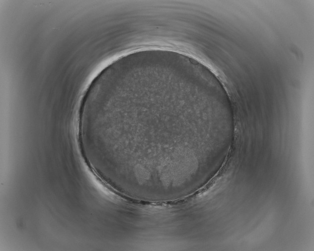 X0000111861523200908061325