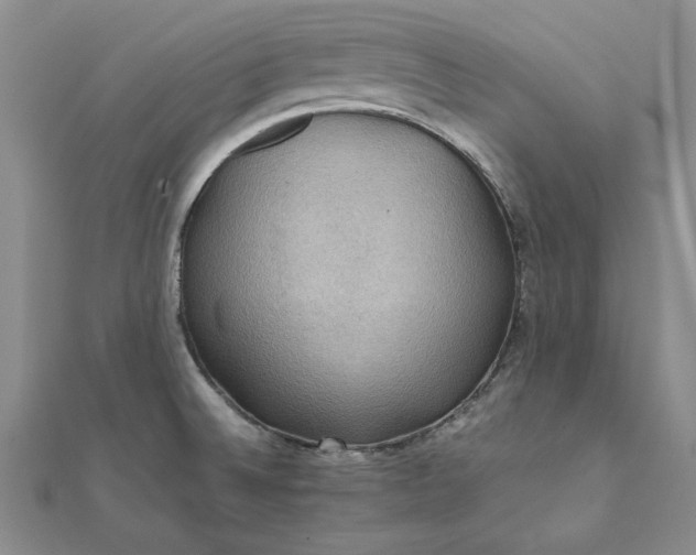 X0000111861524200908061325