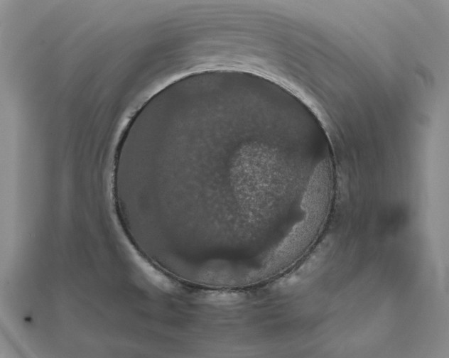 X0000111861525200908061325