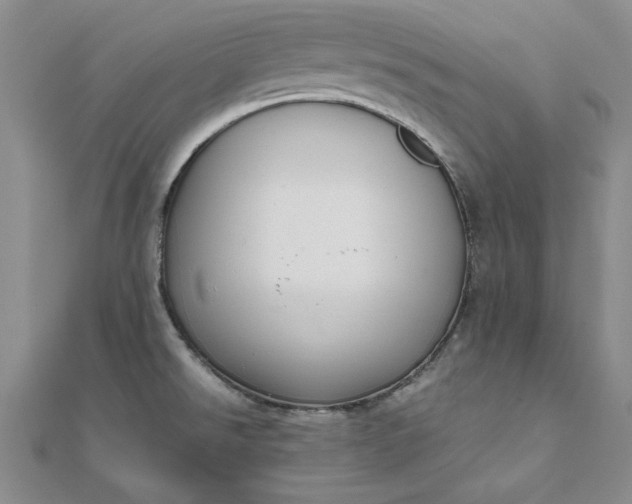 X0000111861526200908061325