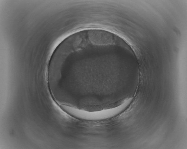 X0000111861527200908061325