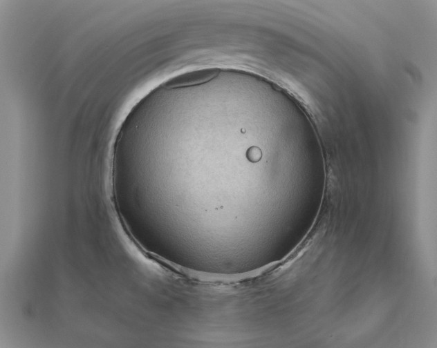 X0000111861528200908061325