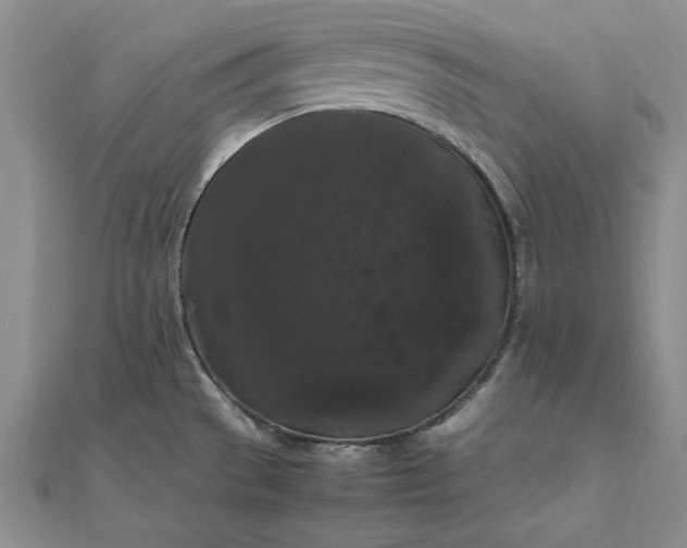 X0000111861529200908061325