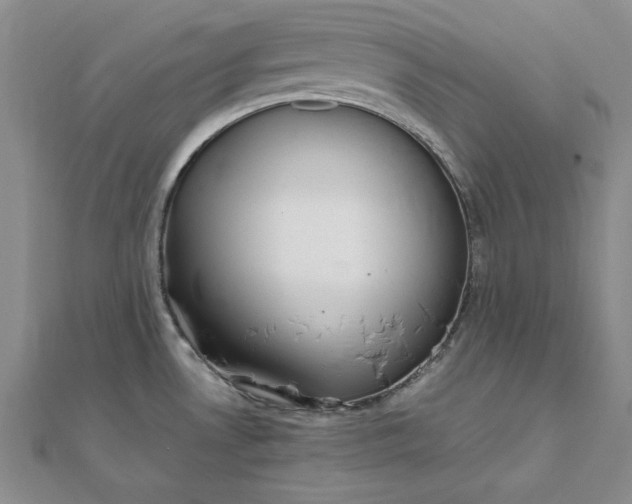 X0000111861530200908061325