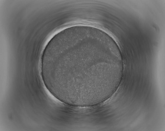 X0000111861531200908061325