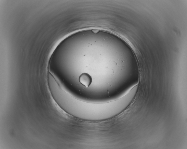 X0000111861532200908061325