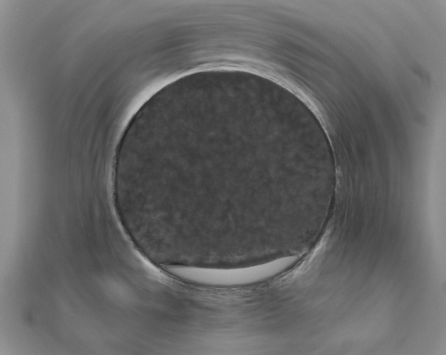 X0000111861533200908061325