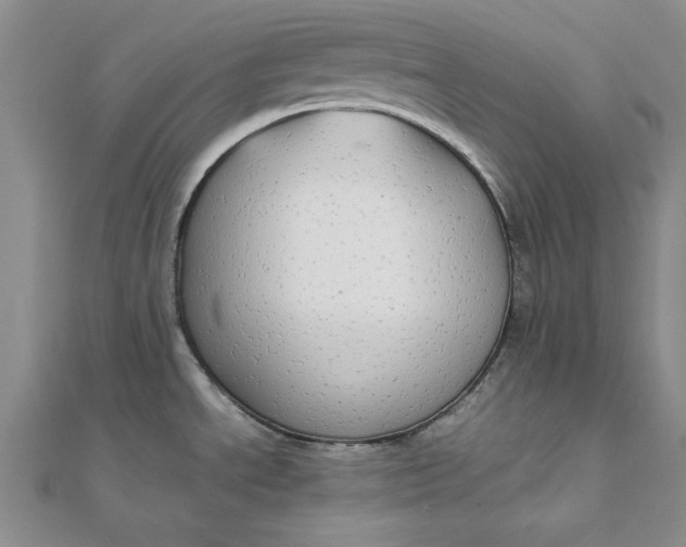 X0000111861534200908061325