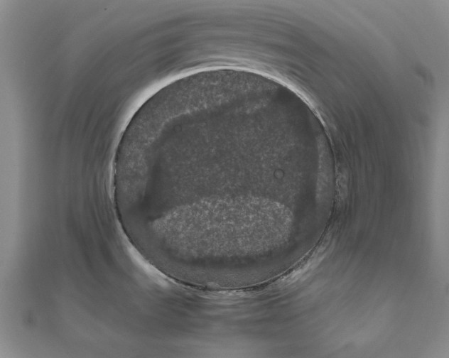 X0000111861535200908061325