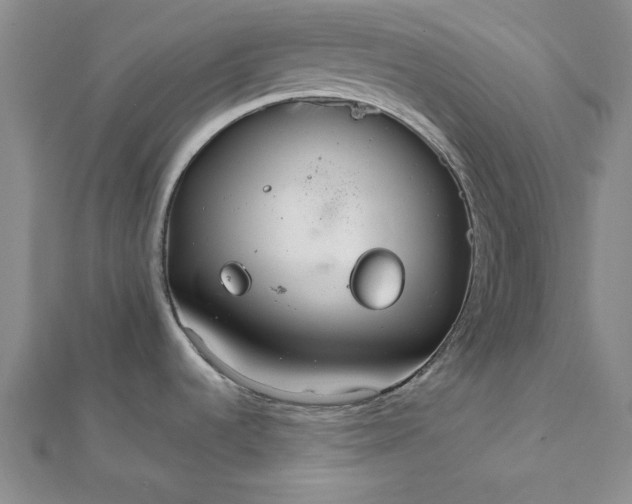 X0000111861536200908061325