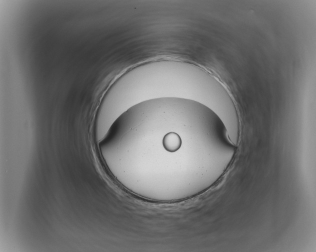 X0000111860001200908131508