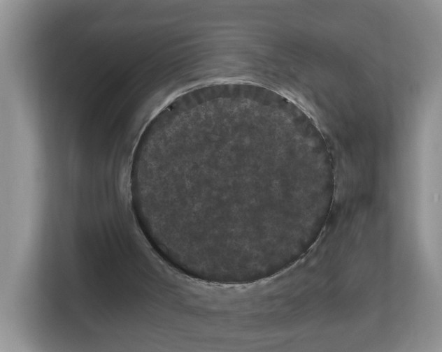 X0000111860002200908131508