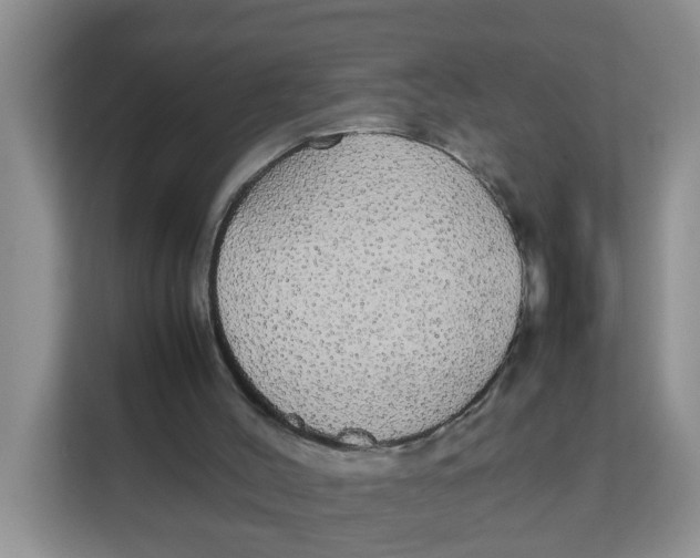X0000111860004200908131508