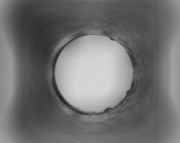 X0000111860005200908131508