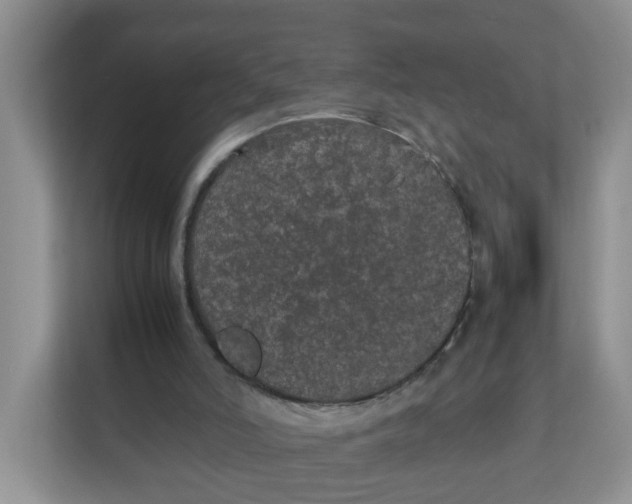 X0000111860006200908131508