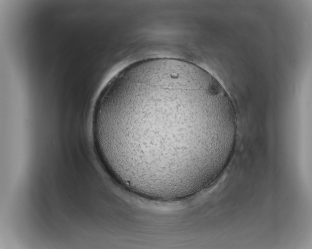 X0000111860008200908131508