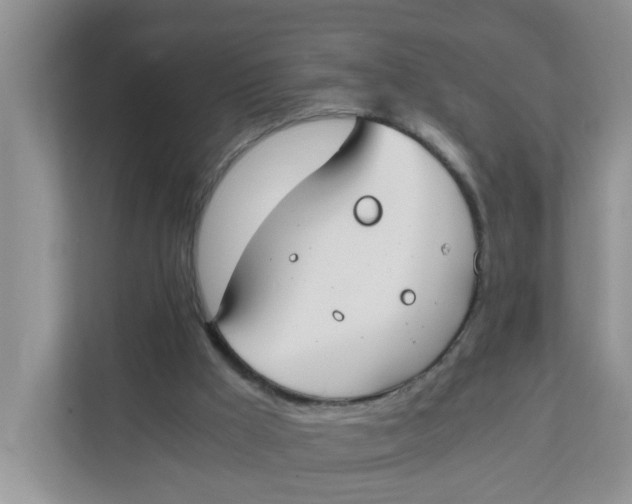 X0000111860009200908131508
