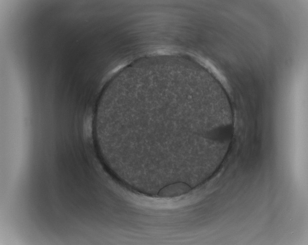 X0000111860010200908131508