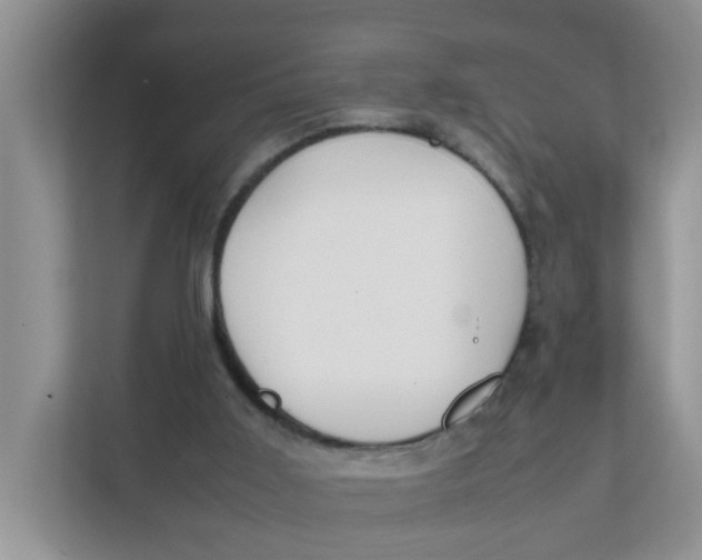 X0000111860011200908131508