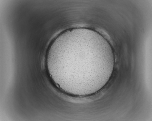 X0000111860012200908131508