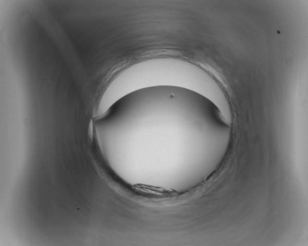 X0000111860013200908131508