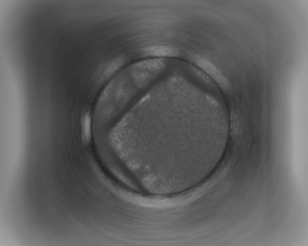 X0000111860014200908131508