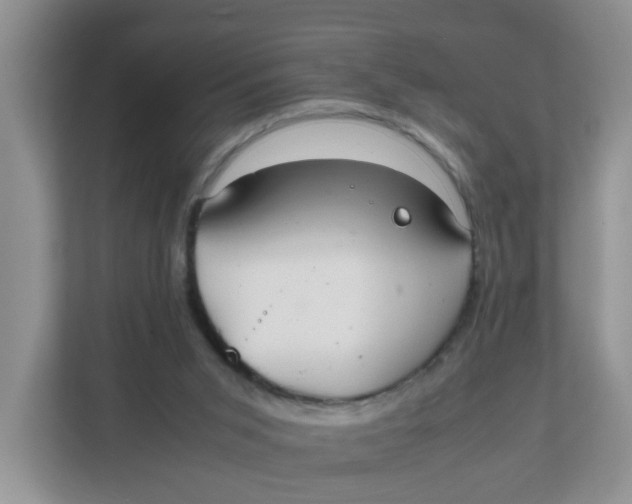 X0000111860015200908131508