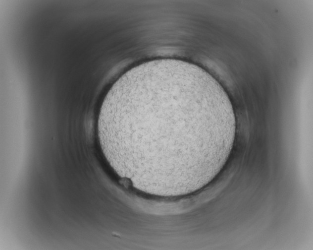 X0000111860016200908131508
