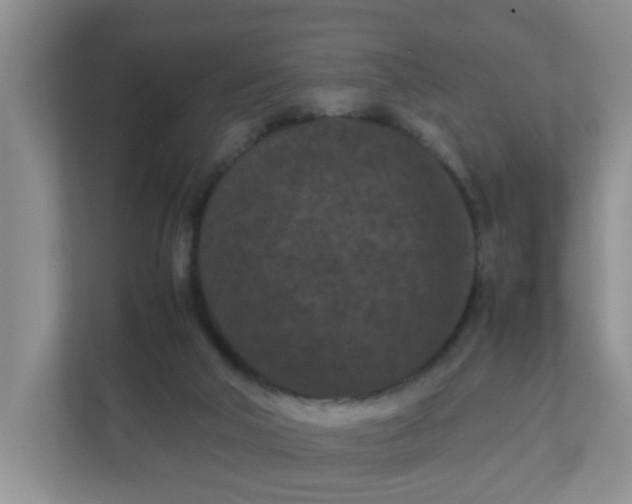 X0000111860018200908131508